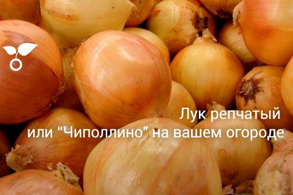 Кракен активная ссылка