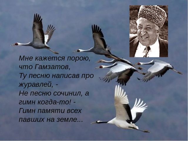 Кракен марке даркнет